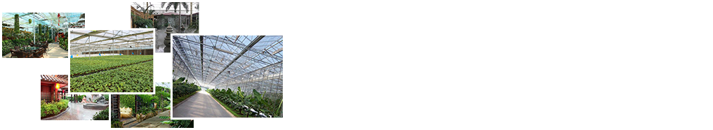 24小時(shí)免費(fèi)咨詢(xún)、免費(fèi)技術(shù)指導(dǎo)