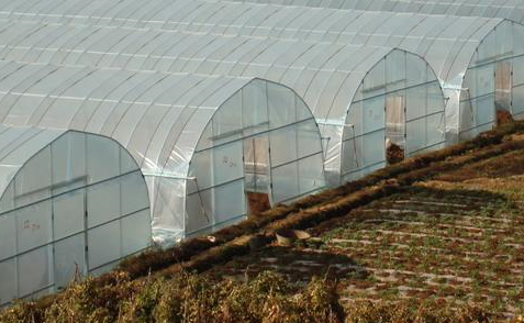 陜西單棟溫室大棚生產(chǎn)廠家