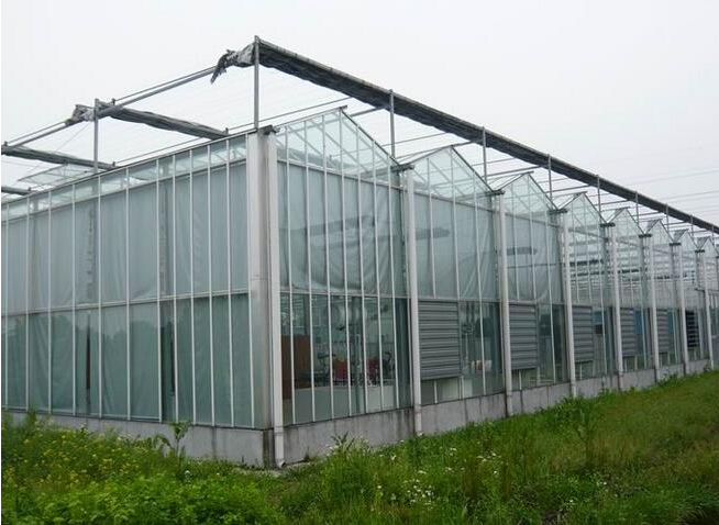 陜西連棟大棚設(shè)計(jì)施工
