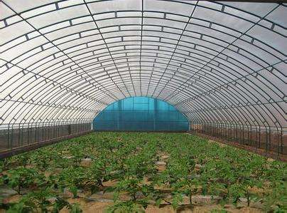 技術(shù)專業(yè)，服務(wù)到位