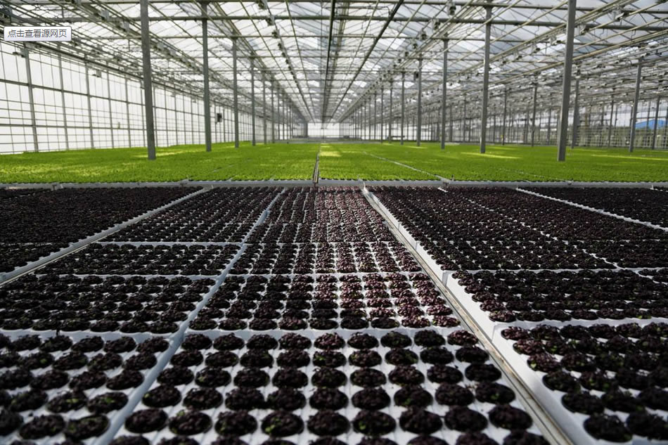 實(shí)力雄厚，品質(zhì)保證！