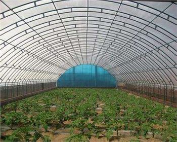 技術(shù)專(zhuān)業(yè)，服務(wù)到位