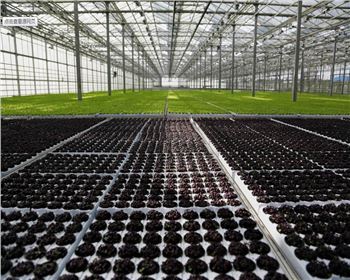 實(shí)力雄厚，品質(zhì)保證！