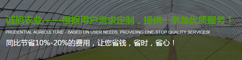 陜西溫室大棚整體施工