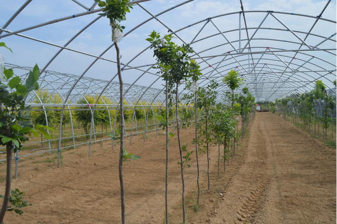 陜西大棚骨架廠家 陜西大棚骨架廠家