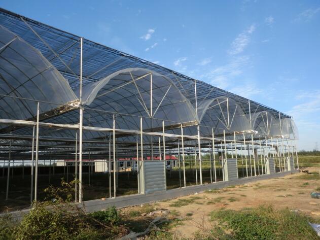 陜西溫室大棚突然遇到冰雹天氣該如何避免？